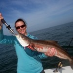 cobia 4