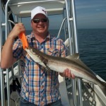 cobia 5