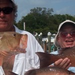 snapper and grouper anna maria island