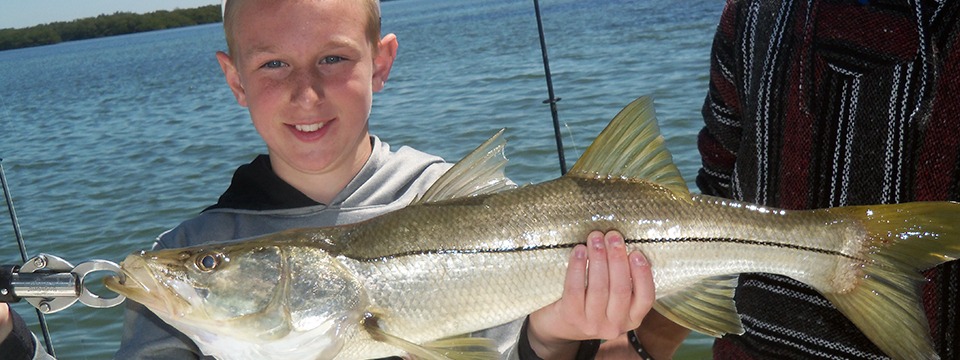 snook anna maria island fishing captain danny stasny