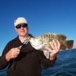 Tripletail