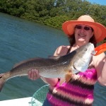 redfish6