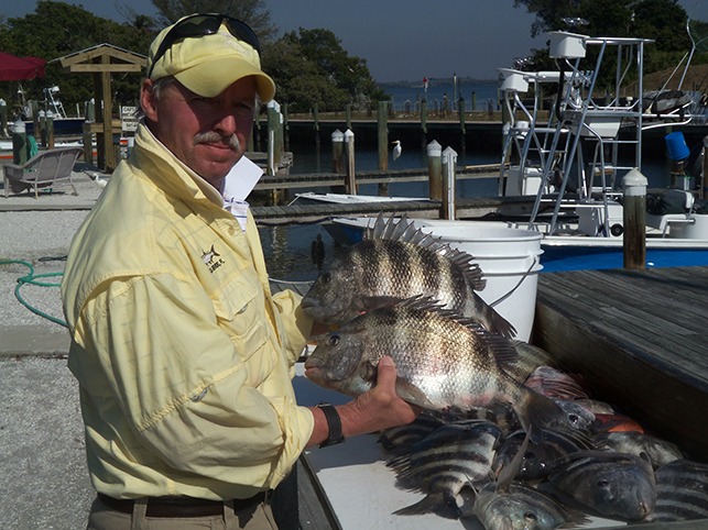 sheepshead pile