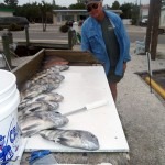 sheepshead and snapper