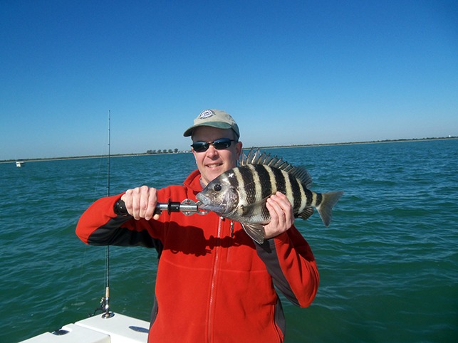 sheepshead 1