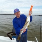 snook 5