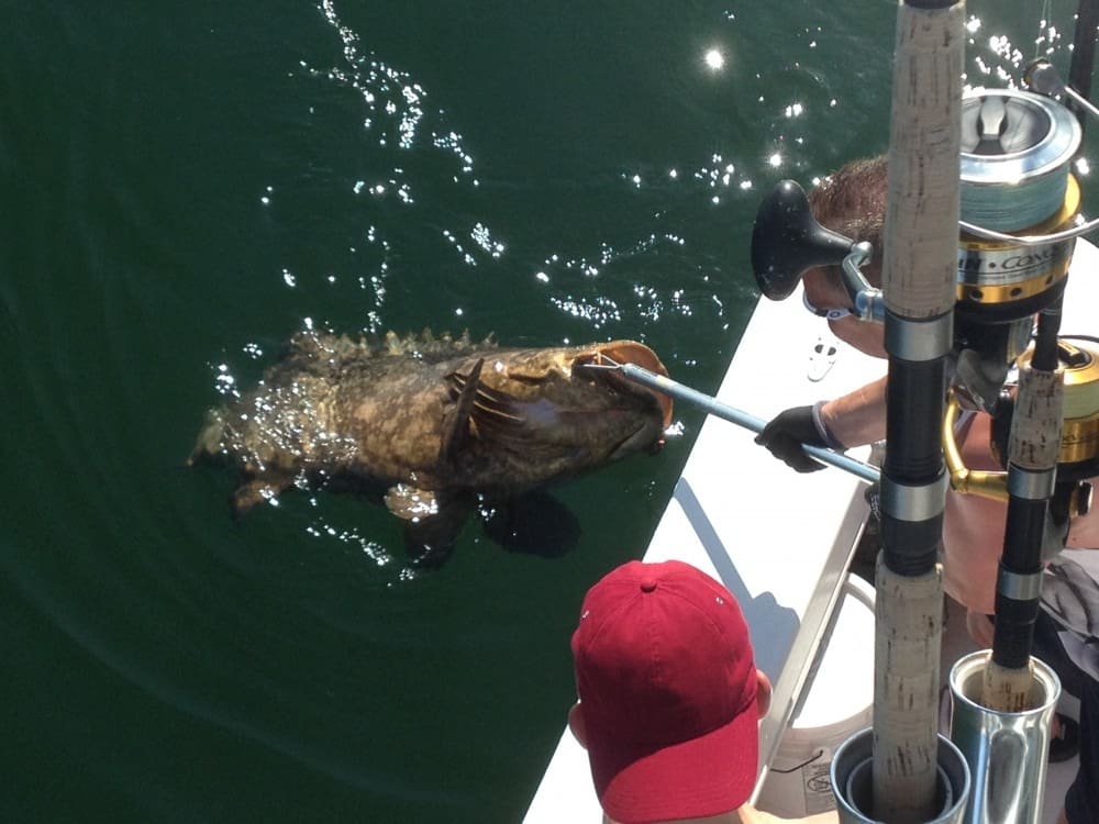 Anna Maria Island Fishing Charters | Just Reel Fishing Charters