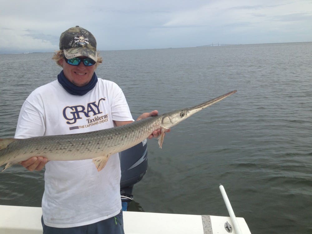 Anna Maria Island Fishing Charters | Just Reel Fishing Charters