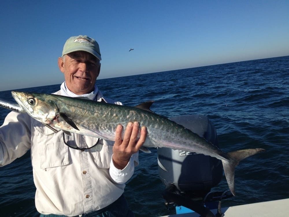 Anna Maria Island Fishing Charters | Just Reel Fishing Charters