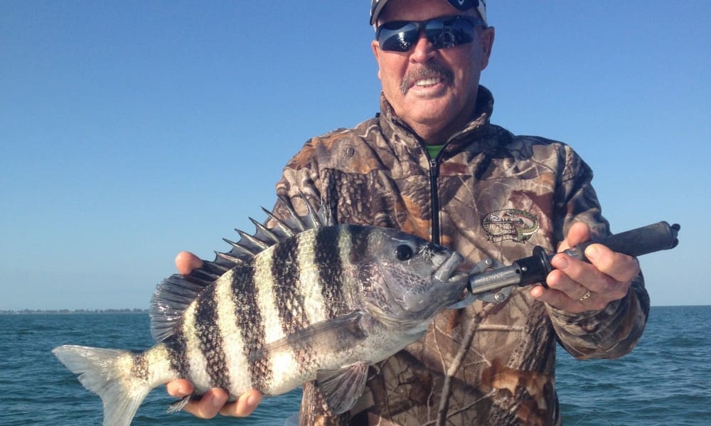 Anna Maria Island Fishing Charters | Just Reel Fishing Charters