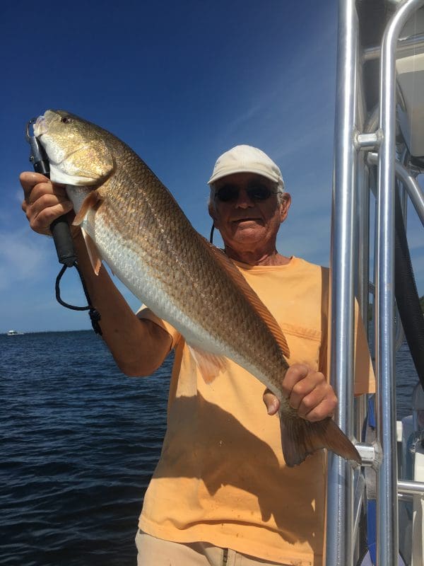 Anna Maria Island Fishing Charters | Just Reel Fishing Charters