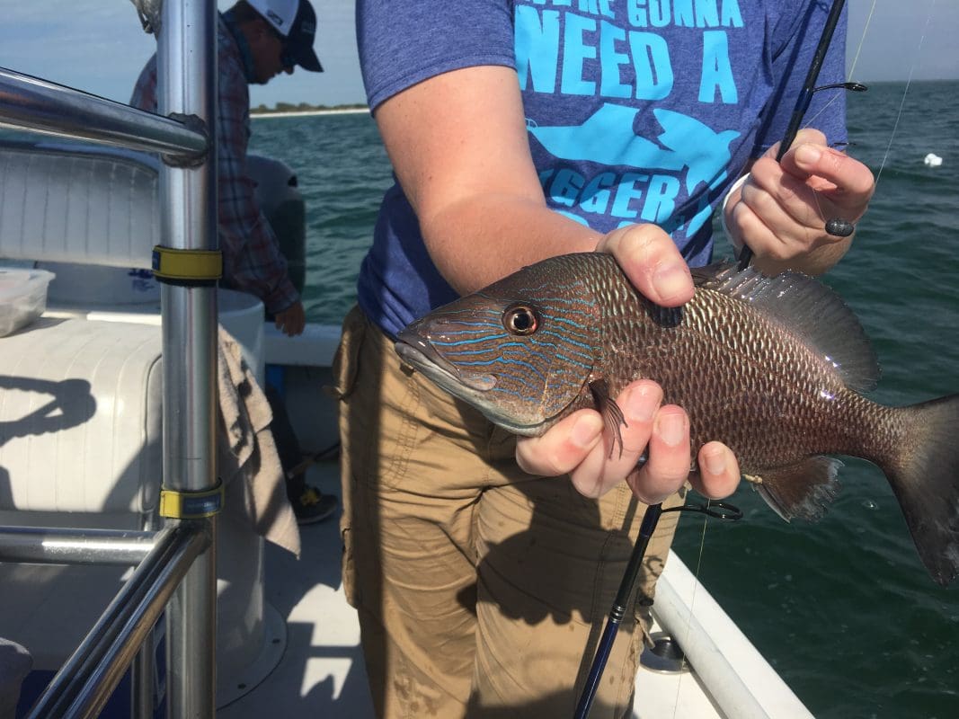 Anna Maria Island Fishing Charters | Just Reel Fishing Charters