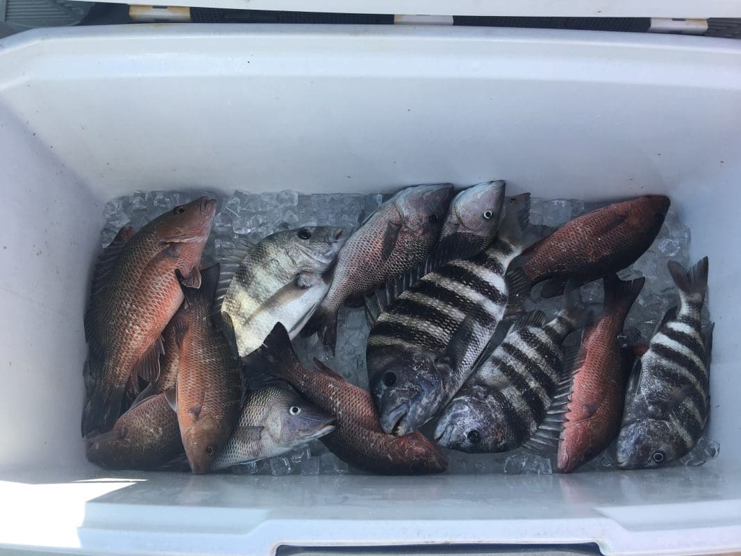 Anna Maria Island Fishing Charters | Just Reel Fishing Charters