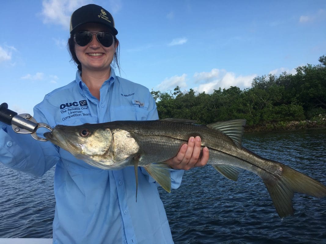 Anna Maria Island Fishing Charters | Just Reel Fishing Charters