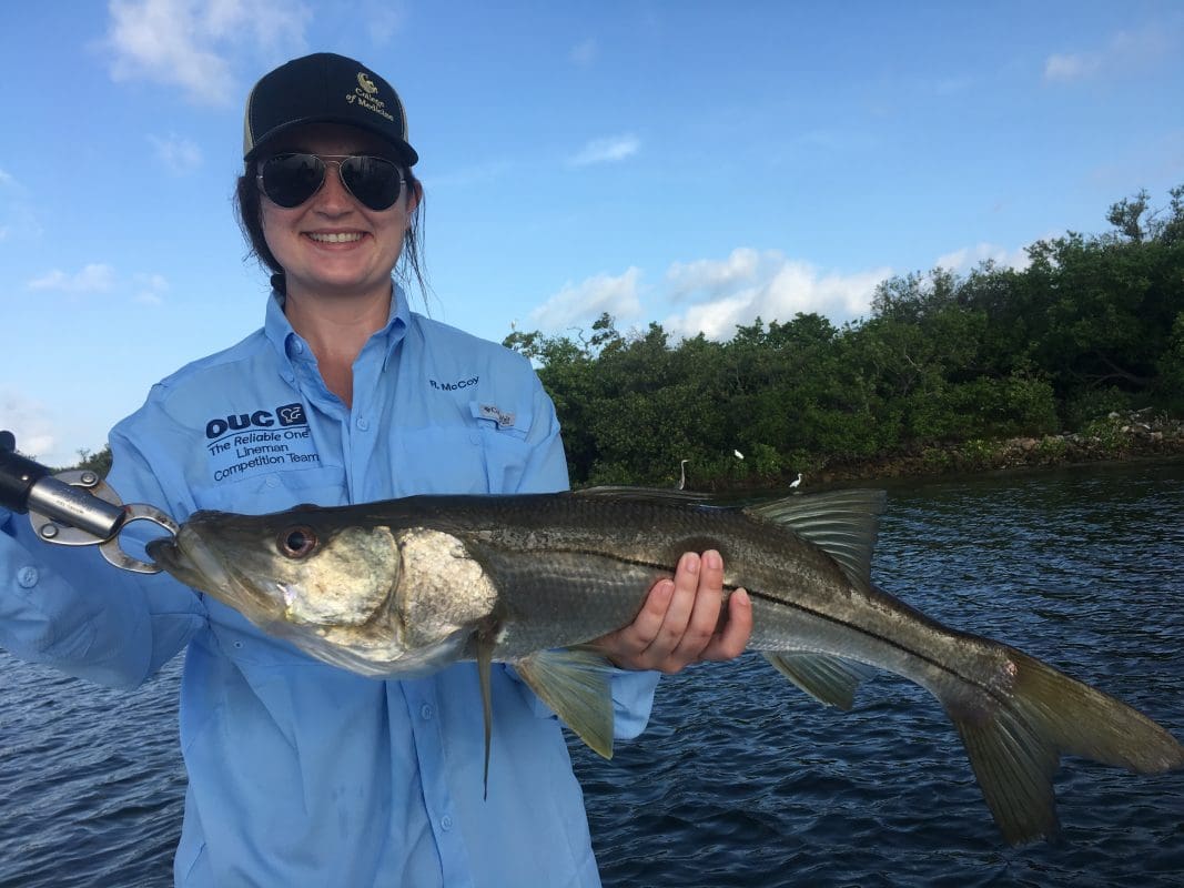 Anna Maria Island Fishing Charters | Just Reel Fishing Charters