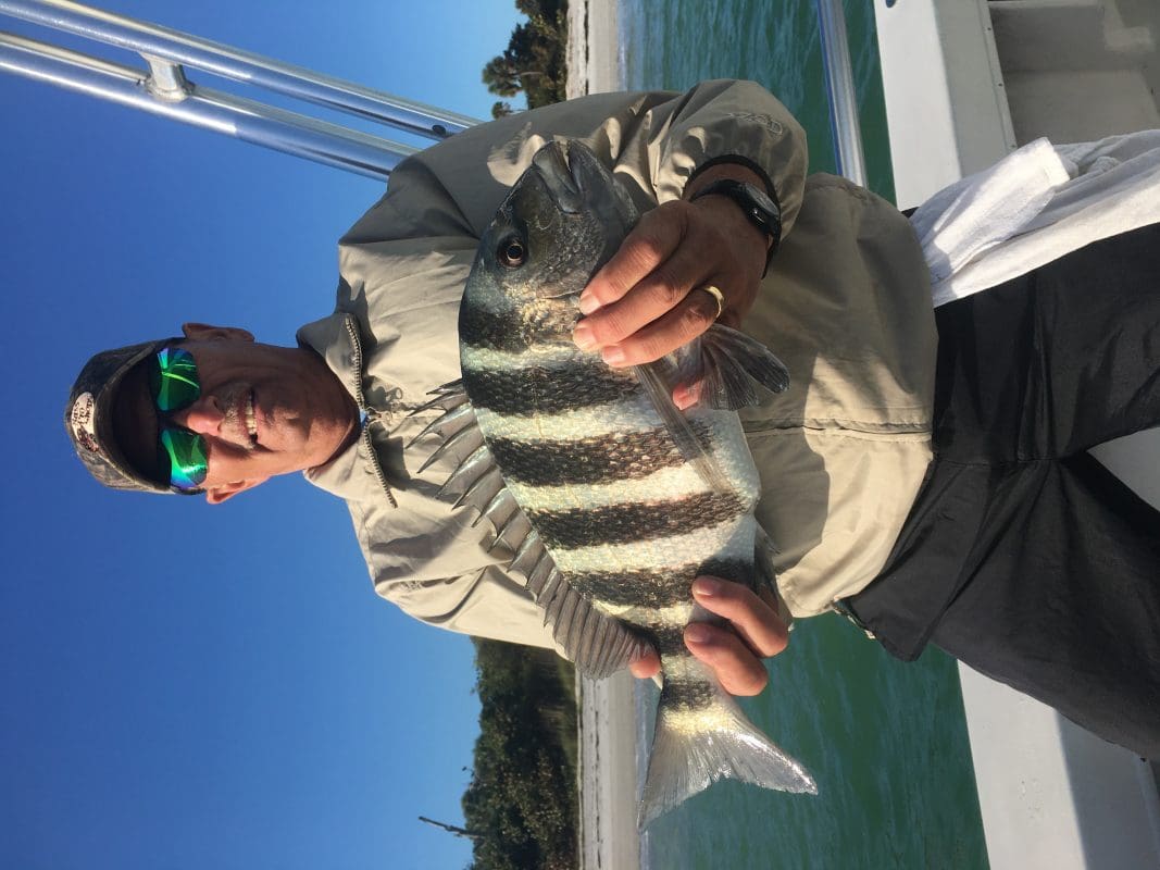 Anna Maria Island Fishing Charters | Just Reel Fishing Charters