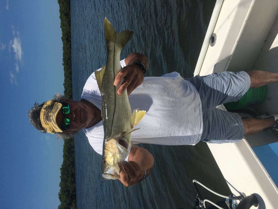 Anna Maria Island Fishing Charters | Just Reel Fishing Charters