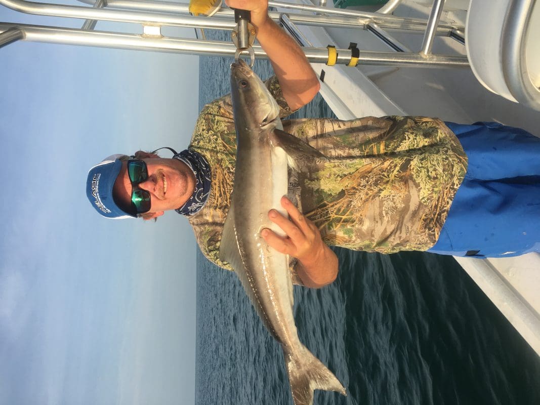 Anna Maria Island Fishing Charters | Just Reel Fishing Charters