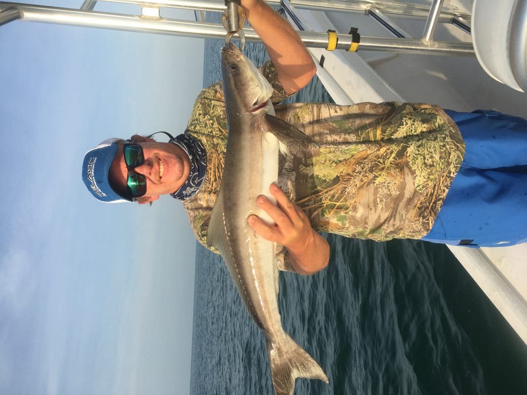 Anna Maria Island Fishing Charters | Just Reel Fishing Charters