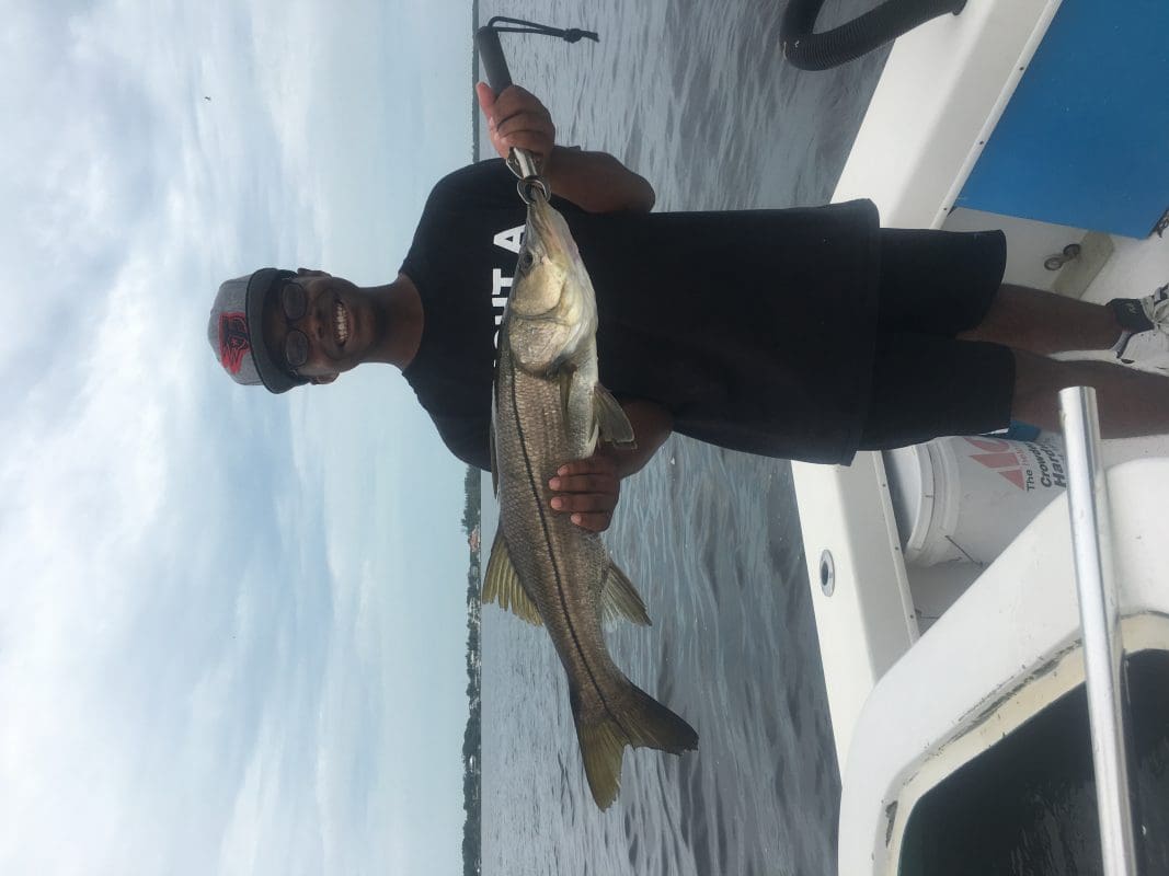 Anna Maria Island Fishing Charters | Just Reel Fishing Charters