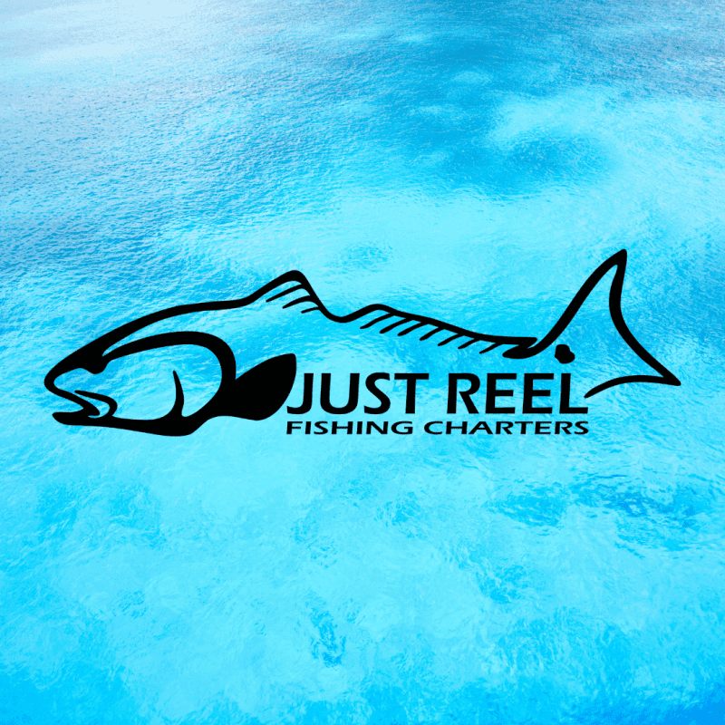 Anna Maria Island Fishing Charters | Just Reel Fishing Charters