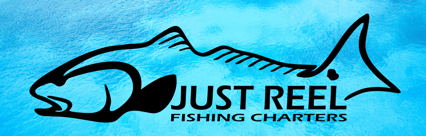 Anna Maria Island Fishing Charters | Just Reel Fishing Charters