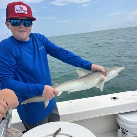 anna-maria-shark-fishing-charter.jpg