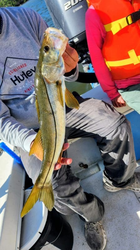 Anna Maria Island Fishing Charters | Just Reel Fishing Charters