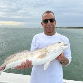 anna-maria-redfish-fishing-charter.jpg