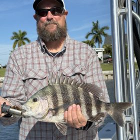 anna-maria-sheepshead-fishing-charter.jpg