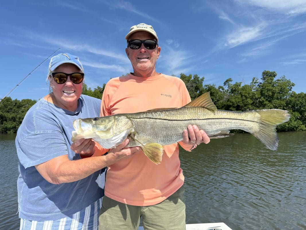 34 inch snook